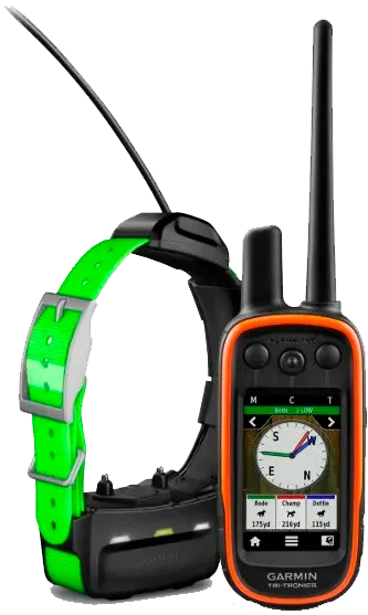 GPS-ошейник Garmin Alpha 100